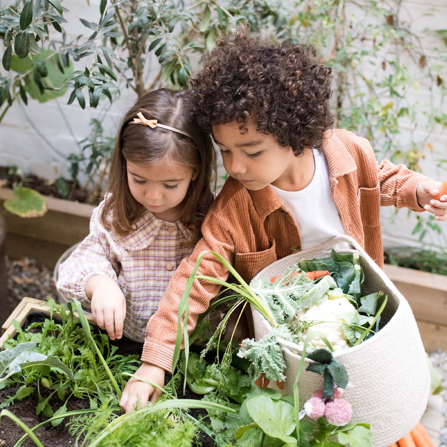 Basket Veggies - Image 5