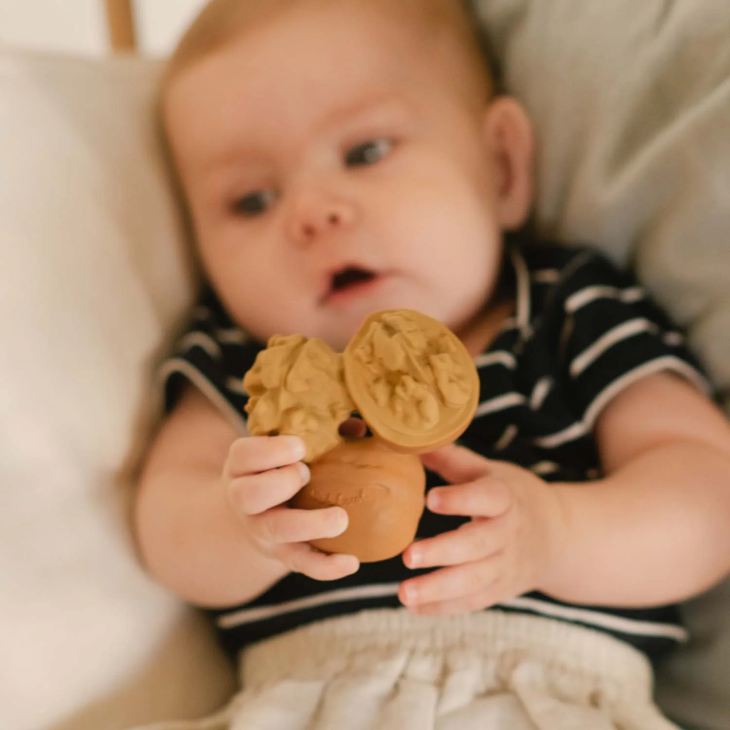 Nutty the Walnut Baby Teether - Image 5