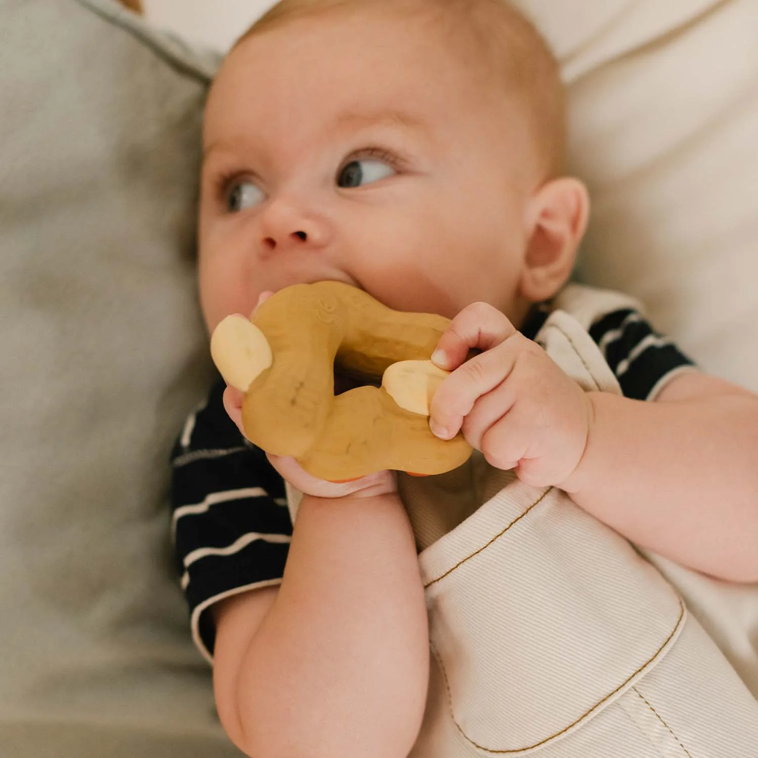 Paco the Peanut Baby Teether - Image 5