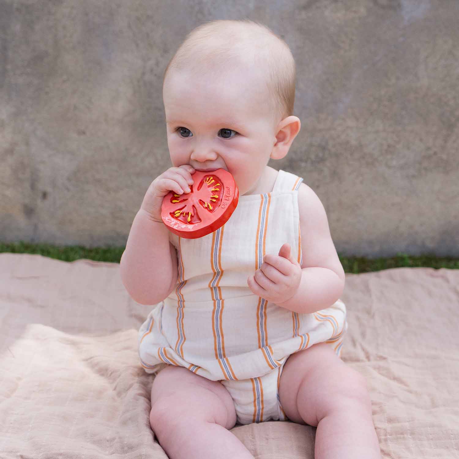 Renato the Tomato Baby Teether - Image 5