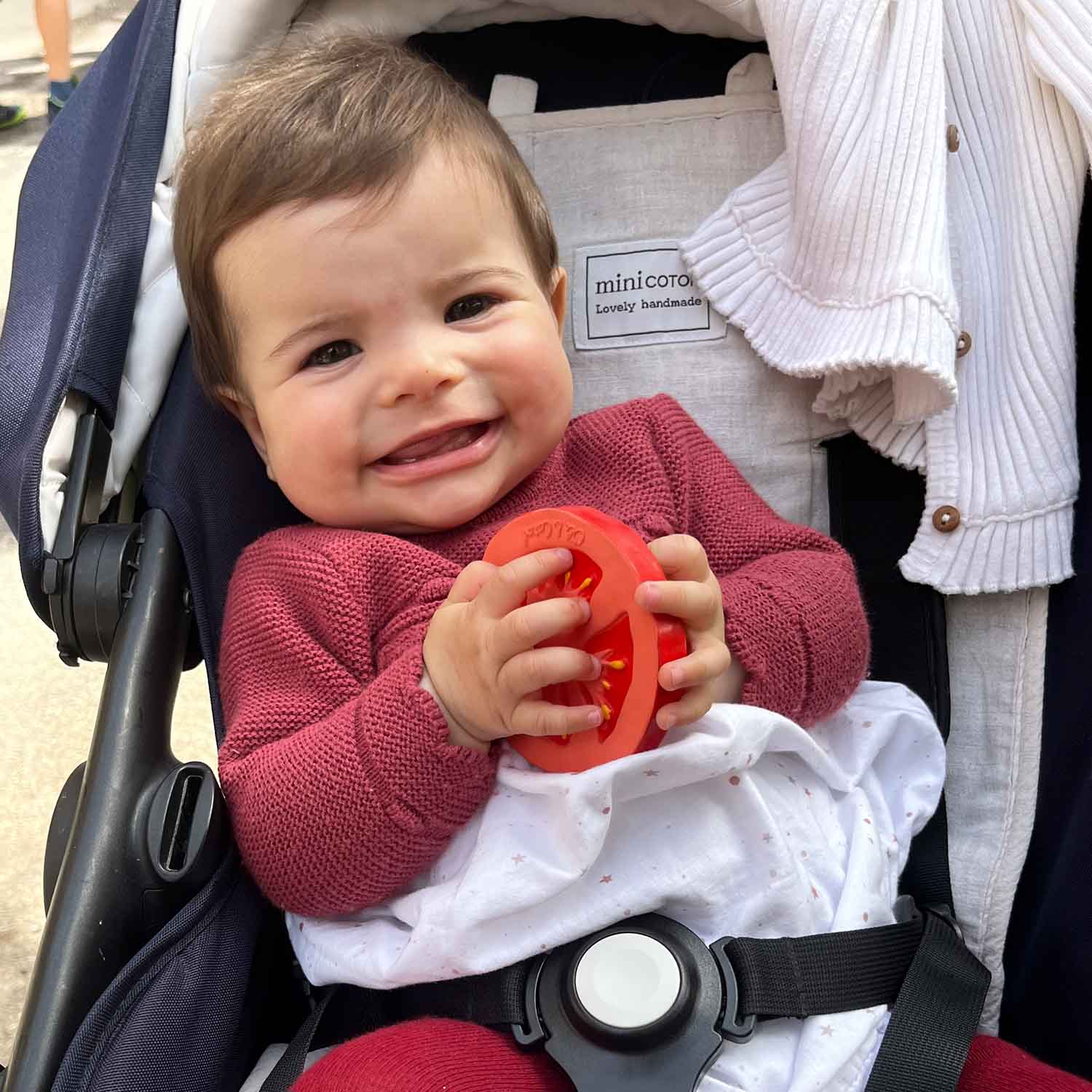 Renato the Tomato Baby Teether - Image 8