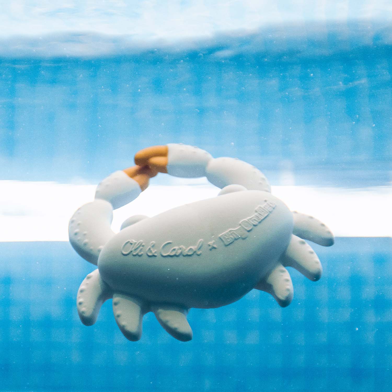 Sharon the Crab Bath Toy - Image 5