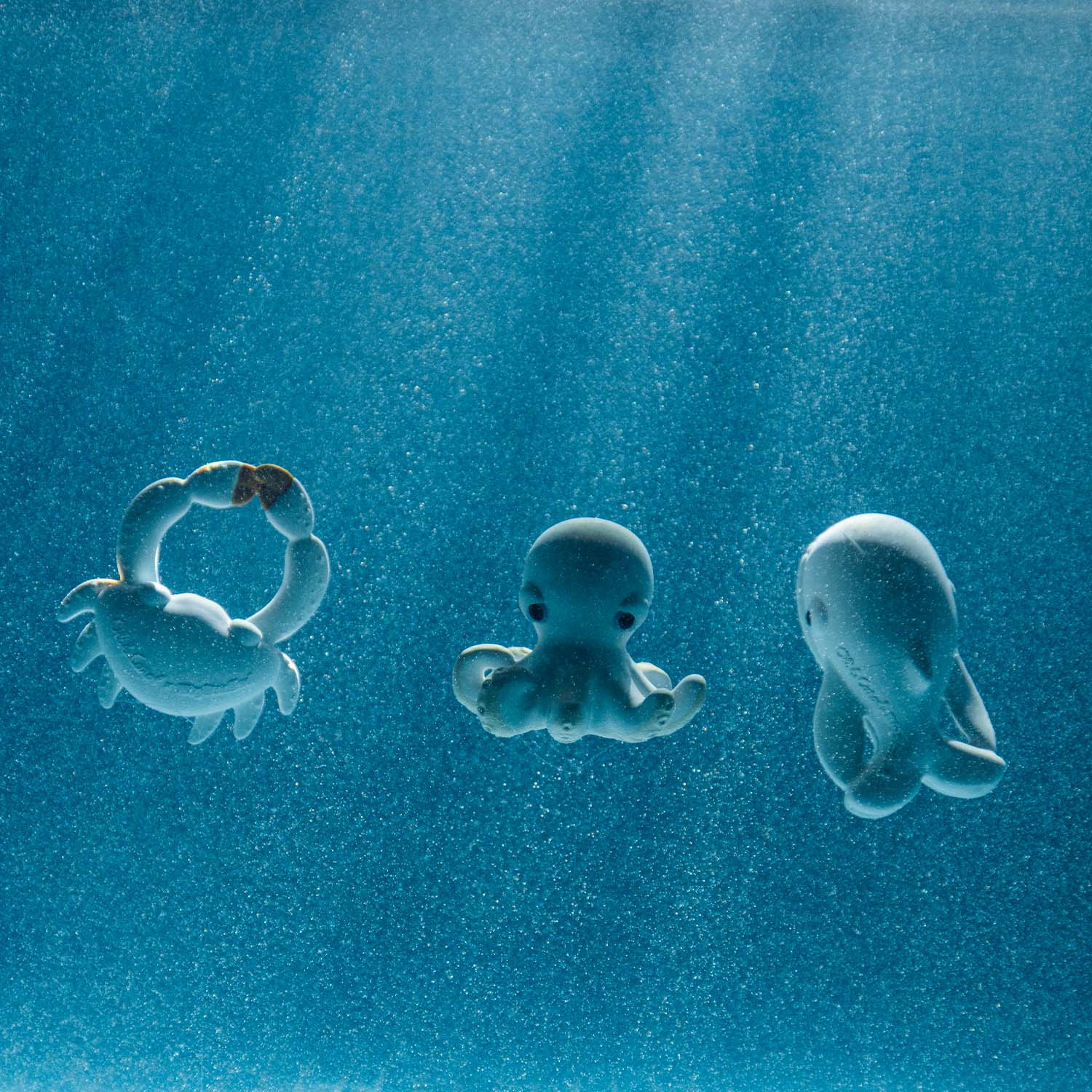 Walter the Whale Bath Toy - Image 7